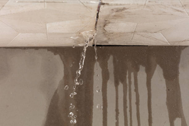 Professional Flood Damage Cleanup technician working in Danevang, TX